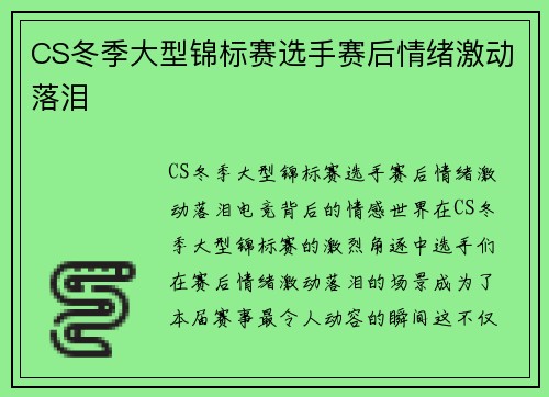 CS冬季大型锦标赛选手赛后情绪激动落泪