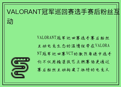 VALORANT冠军巡回赛选手赛后粉丝互动