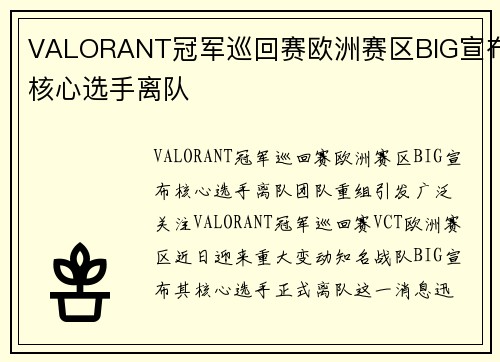 VALORANT冠军巡回赛欧洲赛区BIG宣布核心选手离队