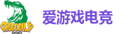 爱游戏电竞